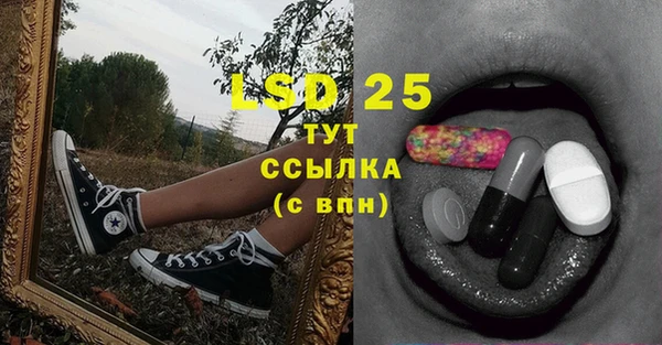 ECSTASY Михайлов