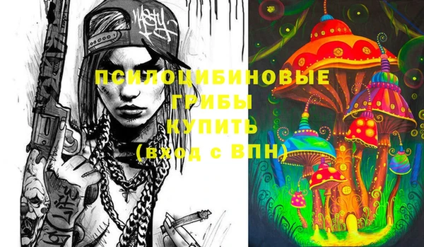 ECSTASY Михайлов
