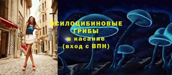 мяу мяу кристалл Богданович